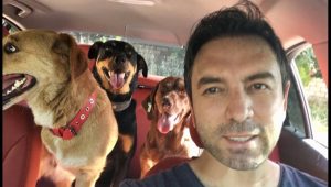 Tayfun Dəmirin günahı nə idi?