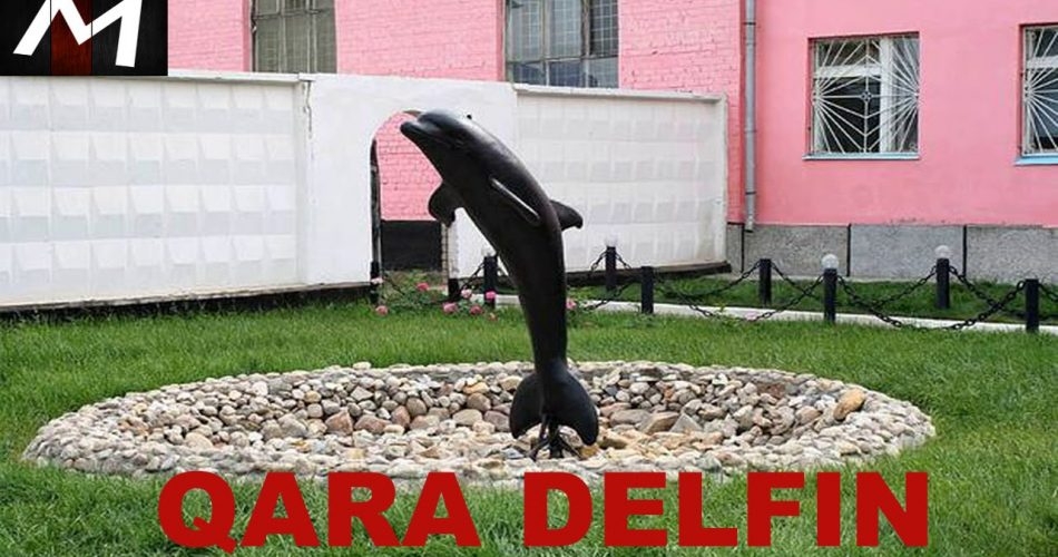 Dünyanın ən ciddi həbsxanası "Qara Delfin"