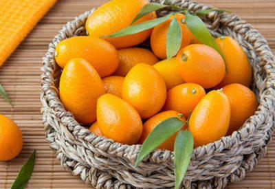 dahilərin qidası kinkan