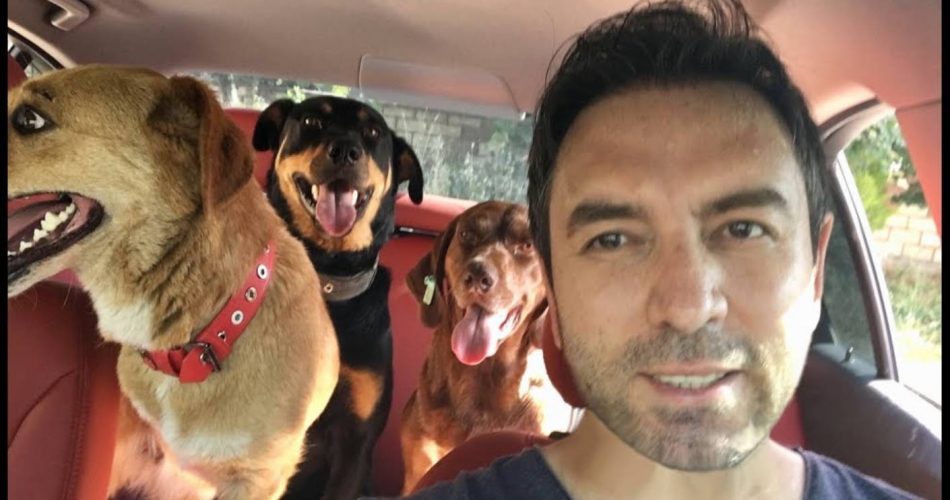 Tayfun Dəmirin günahı nə idi?